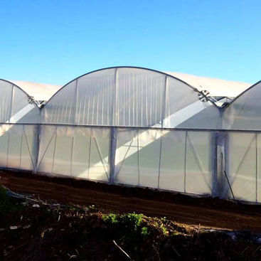 Serre professionnelle - MULTIMED - Europrogress - de jardinage / multi tunnel / en verre