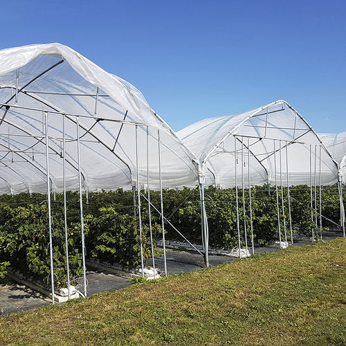 Serre professionnelle - MULTIEASY - Europrogress - de jardinage / multi tunnel / en plastique