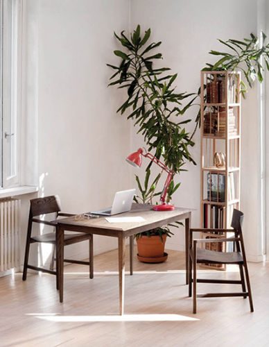 Bureau classique - REGENCY - Plinio il Giovane - en bois