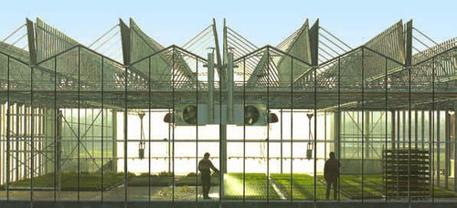 Serre professionnelle - OPENVENLO R - CMF GROUPE - de production / à ouverture totale / venlo