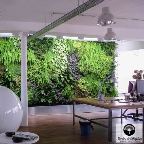 Mur végétal stabilisé - UTOPIES COMPANY - Jardins de Babylone - en panneau modulaire / naturel / feuillages denses