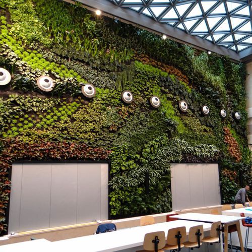 Mur végétal stabilisé - CRÉDIT AGRICOLE IMMOBILIER - Jardins de Babylone - naturel / d'intérieur / de jardin