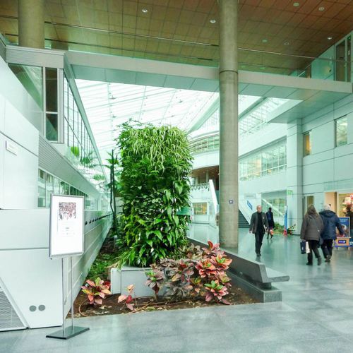 Mur végétal stabilisé - EUROPEAN HOSPITAL GEORGES-POMPIDOU - Jardins de Babylone - en panneau modulaire / naturel / feuillages denses
