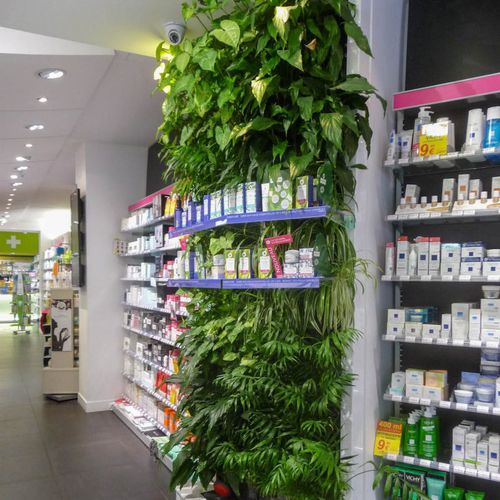 Mur végétal stabilisé - BASIRE PHARMACY - Jardins de Babylone - en panneau modulaire / naturel / feuillages denses