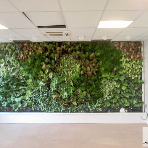 Mur végétal stabilisé - LUSH JUNGLE - Jardins de Babylone - en panneau modulaire / naturel / feuillages denses