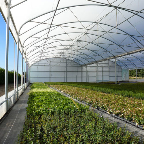 Serre de jardinage - ATLANTIQUE 9,60M - Serres Jrc - monochapelle / multi tunnel / en plastique