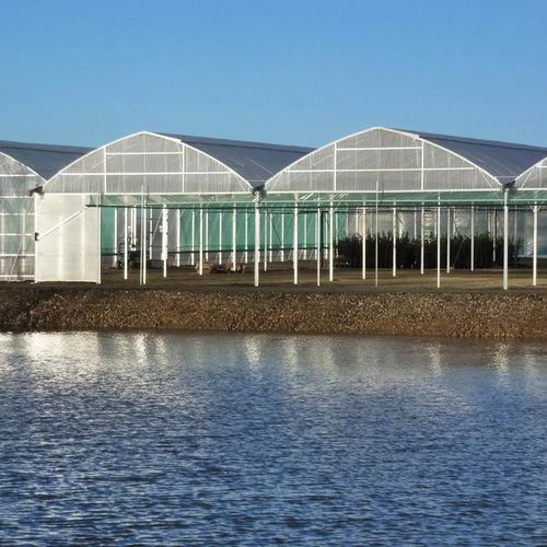 Serre professionnelle - ATLANTIQUE 11.60M - Serres Jrc - de jardinage / multi chapelle / en plastique