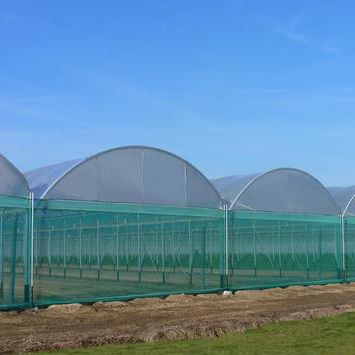 Serre professionnelle - BALTIQUE - Serres Jrc - de jardinage / multi chapelle / en plastique