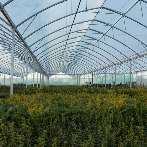 Serre professionnelle - 1.60M ATLANTIQUE HORTICULTURAL - Serres Jrc - de jardinage / multi chapelle / structure en aluminium
