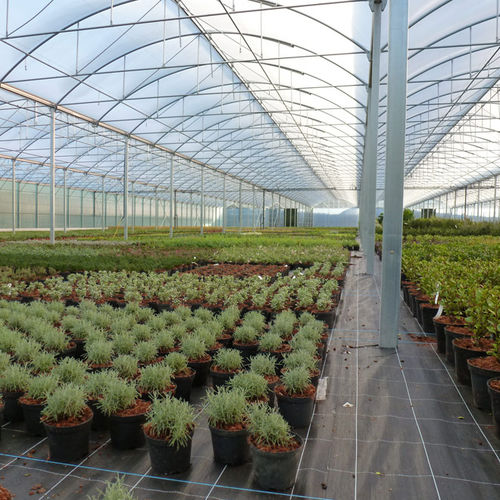 Serre professionnelle - 9.60M ATLANTIQUE HORTICULTURAL - Serres Jrc - de jardinage / multi chapelle / structure en aluminium