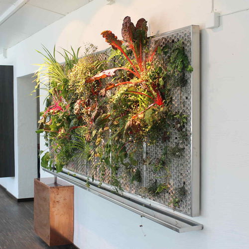 Tableau végétal stabilisé - VERTICAL - butong - floral / d'intérieur / en panneau modulaire