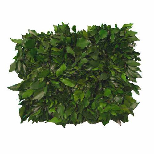 Jardinière en résine - FVS-501-16 - green Habitat - rectangulaire / modulable / verticale