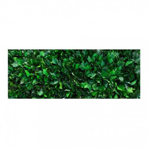Mur végétal stabilisé - GVS-500-16 - green Habitat - en panneau modulaire / naturel / d'intérieur