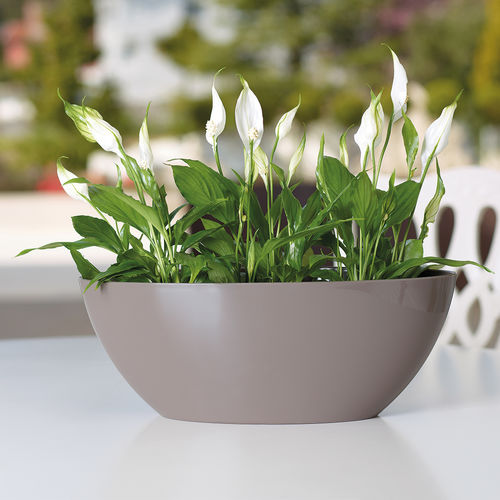 Pot de jardin en polypropylène - BAHIA  - Artevasi, S.A - ovale / résidentiel
