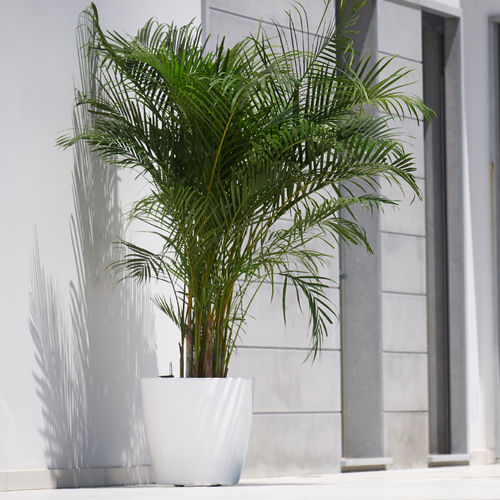 Pot de jardin en polypropylène - SAN REMO  - Artevasi, S.A - carré / intelligent