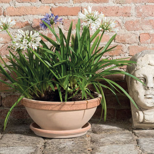 Jardinière en terracotta - GRAFFIATA : SCRATCHED LIPPED BOWL - DEGREA - ronde / contemporaine / d'extérieur