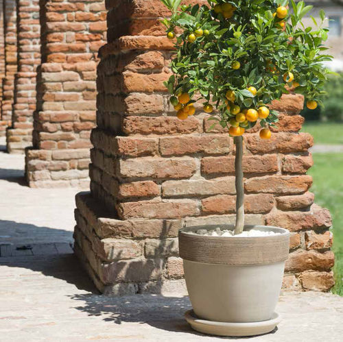 Pot de jardin en terracotta - VULCANO GRAFFIATO : PALLADIO  - DEGREA - rond