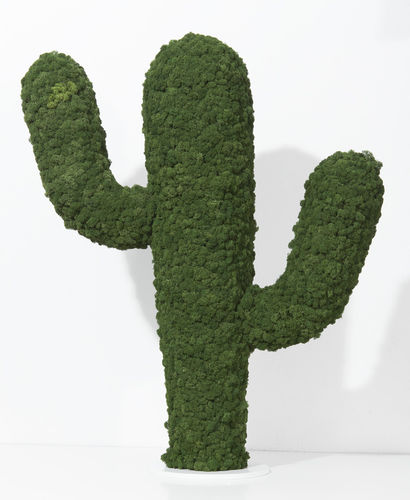 Plante ornementale stabilisée - SHAPES - KAKTUS - Greenarea - totem / cactus / de petite taille