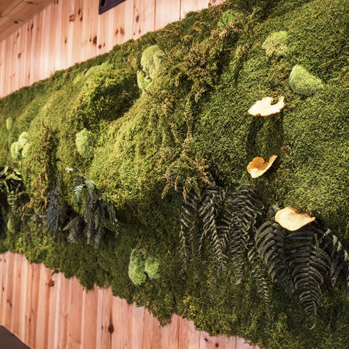 Panneau acoustique pour mur - MOSS&PLANTS MID - Greenarea - en plantes stabilisées / rectangulaire / pour bureau