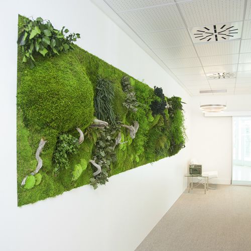 Panneau acoustique pour mur - MOSS&PLANTS MID 3D - Greenarea - en plantes stabilisées / rectangulaire / texturé