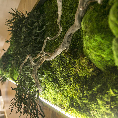 Mur végétal stabilisé - MOSS&PLANTS MID 3D  - Greenarea - sur mesure / naturel / feuillages denses