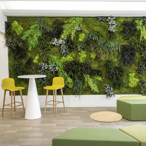Jardin vertical stabilisé - MOSS&PLANTS MID - Greenarea - en panneau modulaire / en mousse boule / pour bureau