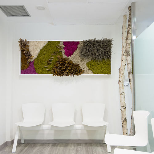 Tableau végétal stabilisé - CUSTOM+PLANTS - Greenarea - en mousse boule / feuillages denses / en lichen