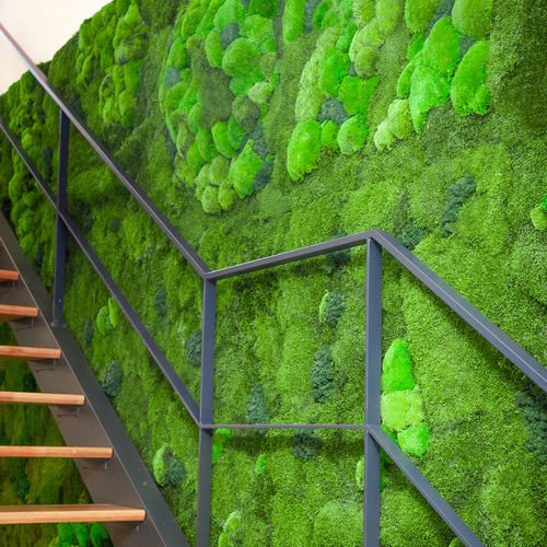 Jardin vertical stabilisé - BASIC MOSS - Greenarea - en mousse boule / d'intérieur / bioclimatique