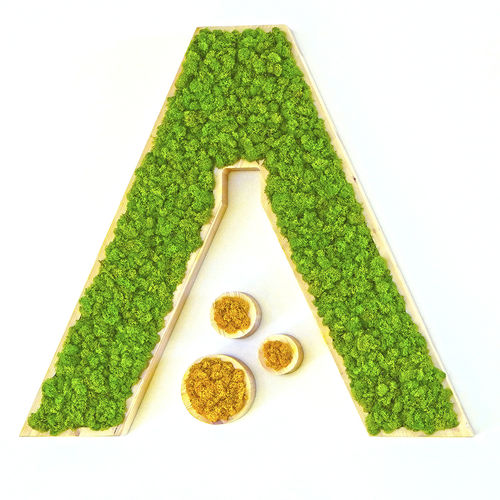 Tableau végétal stabilisé - MOSS IDENTITY - Greenarea - en lichen / d'intérieur / sur mesure