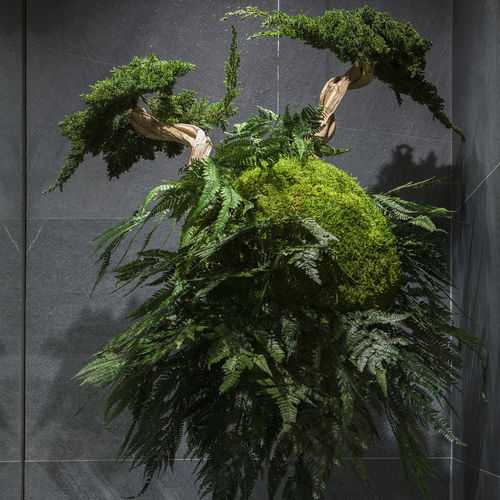 Plante ornementale stabilisée - AVATARS - Greenarea - sphères / de petite taille / de taille moyenne