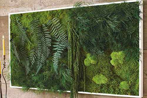 Tableau végétal stabilisé - PAINTINGS VEGETAL MAXI - BM PIANTE STABILIZZATE - en mousse boule / feuillages denses / d'intérieur