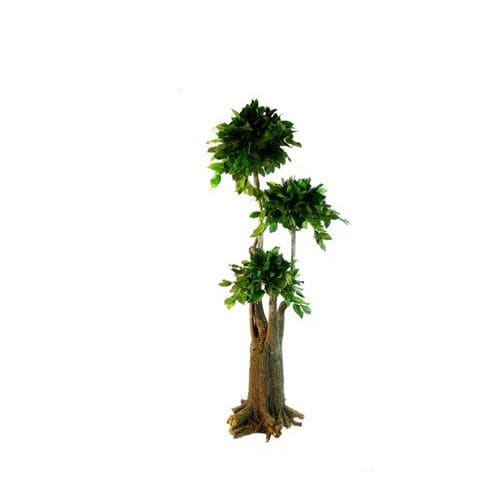 Plante ornementale stabilisée - SALAL - Végétal Indoor - bonsaï / de grande taille / d'intérieur