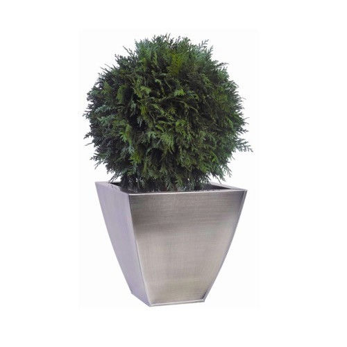 Plante ornementale stabilisée - BOULE DE THUYA - Végétal Indoor - sphères / de petite taille / d'intérieur