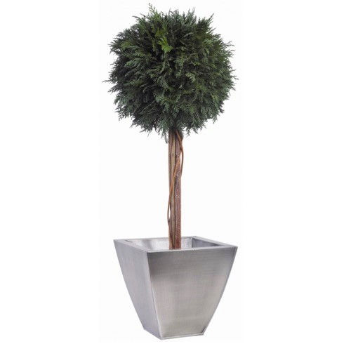 Plante ornementale stabilisée - TOPIAIRE BOULE DE THUYA - Végétal Indoor - sphères / de grande taille / d'intérieur