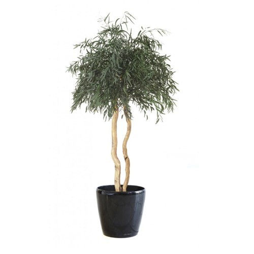 Plante ornementale stabilisée - NICOLY SUR TIGE - Végétal Indoor - eucalyptus / de grande taille / d'intérieur