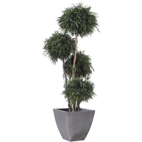 Plante ornementale stabilisée - NICOLY - Végétal Indoor - de grande taille / d'intérieur