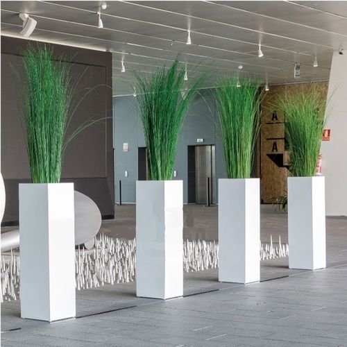 Plante ornementale stabilisée - SGI/0112 - Végétal Indoor - de grande taille / d'intérieur