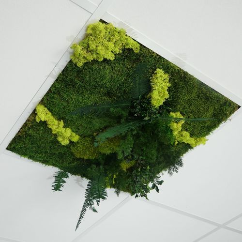 Faux-plafond en PET - Verde - Végétal Indoor - en dalles / d'intérieur / acoustique