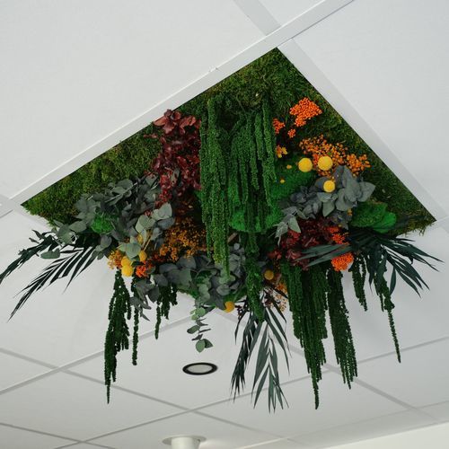 Faux-plafond végétalisé - Orange - Végétal Indoor - en PET / en dalles / d'intérieur