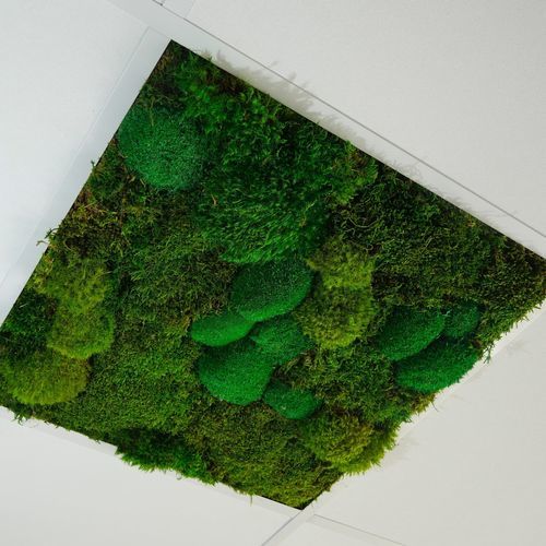 Faux-plafond végétalisé - Mix Mousse - Végétal Indoor - en PET / en dalles / d'intérieur