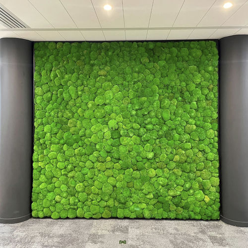 Mur végétal stabilisé - Végétal Indoor - sur mesure / en mousse boule / d'intérieur