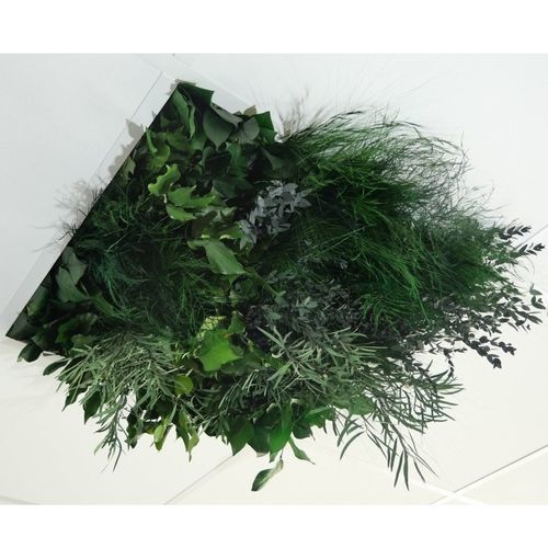 Faux-plafond en PET - Jungle - Végétal Indoor - en dalles / d'intérieur / acoustique