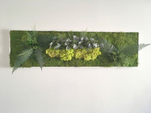 Tableau végétal stabilisé - ZENICHUDO - PLANTE STABILISEE - en mousse boule / feuillages denses / en lichen