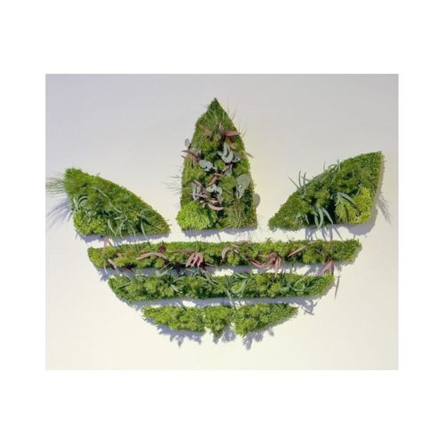 Tableau végétal stabilisé - STABILIZED LOGO - PLANTE STABILISEE - naturel / en lichen / floral