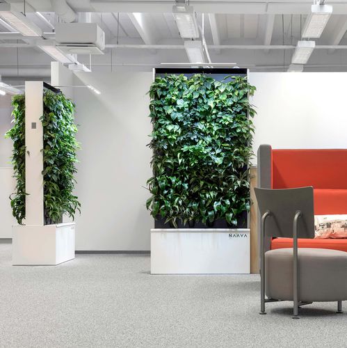Mur végétal stabilisé - DUO - NAAVA - en panneau modulaire / naturel / d'intérieur