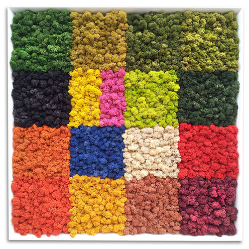 Tableau végétal stabilisé - PATCHWORK - LinfaDecor - naturel / en lichen / d'intérieur