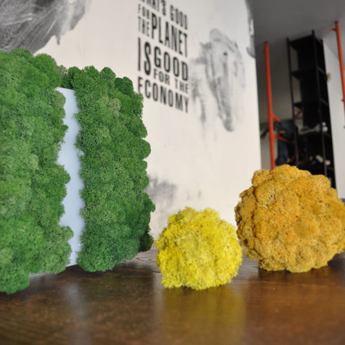 Plante ornementale stabilisée - LICHEN - LinfaDecor - sphères / de petite taille / de grande taille