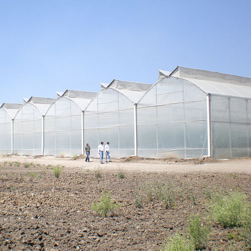 Serre professionnelle - GOTHIC  - ULMA Agricola - botanique / de jardinage / de production