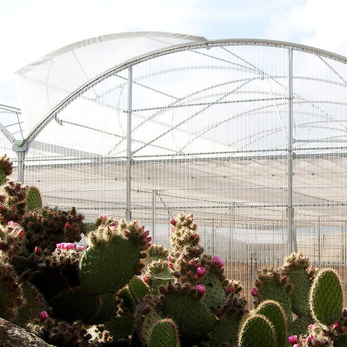 Plaque en polycarbonate alvéolaire - ULMA Agricola - pour serre / cintré