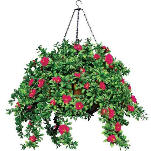 Pot de jardin en fer forgé - AZALEA - PLANTERS UNLIMITED - en noix de coco / suspendu / rond